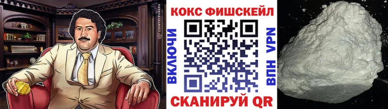Cocaine Fish Scale  Купить закладки  Нерчинск 