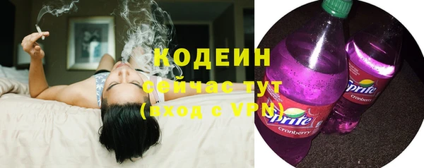 амф Козельск