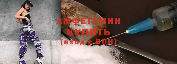 амф Козельск
