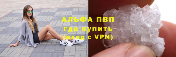 амф Козельск