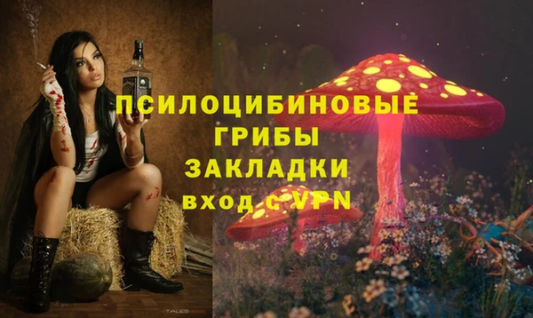 ешки Кодинск