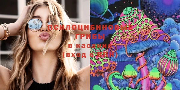 амф Козельск
